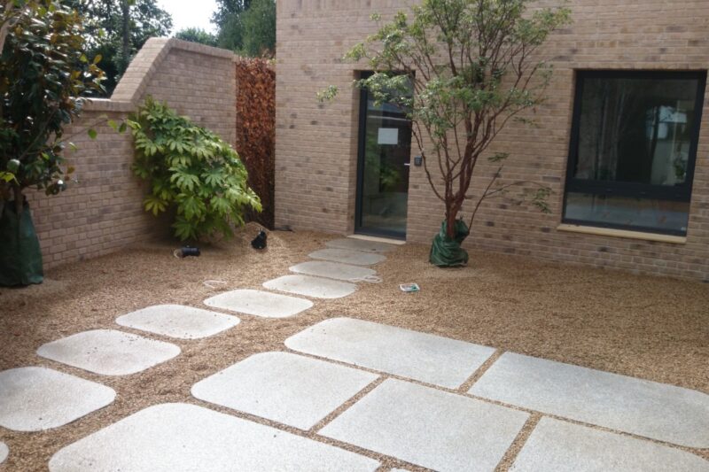Patios Mold